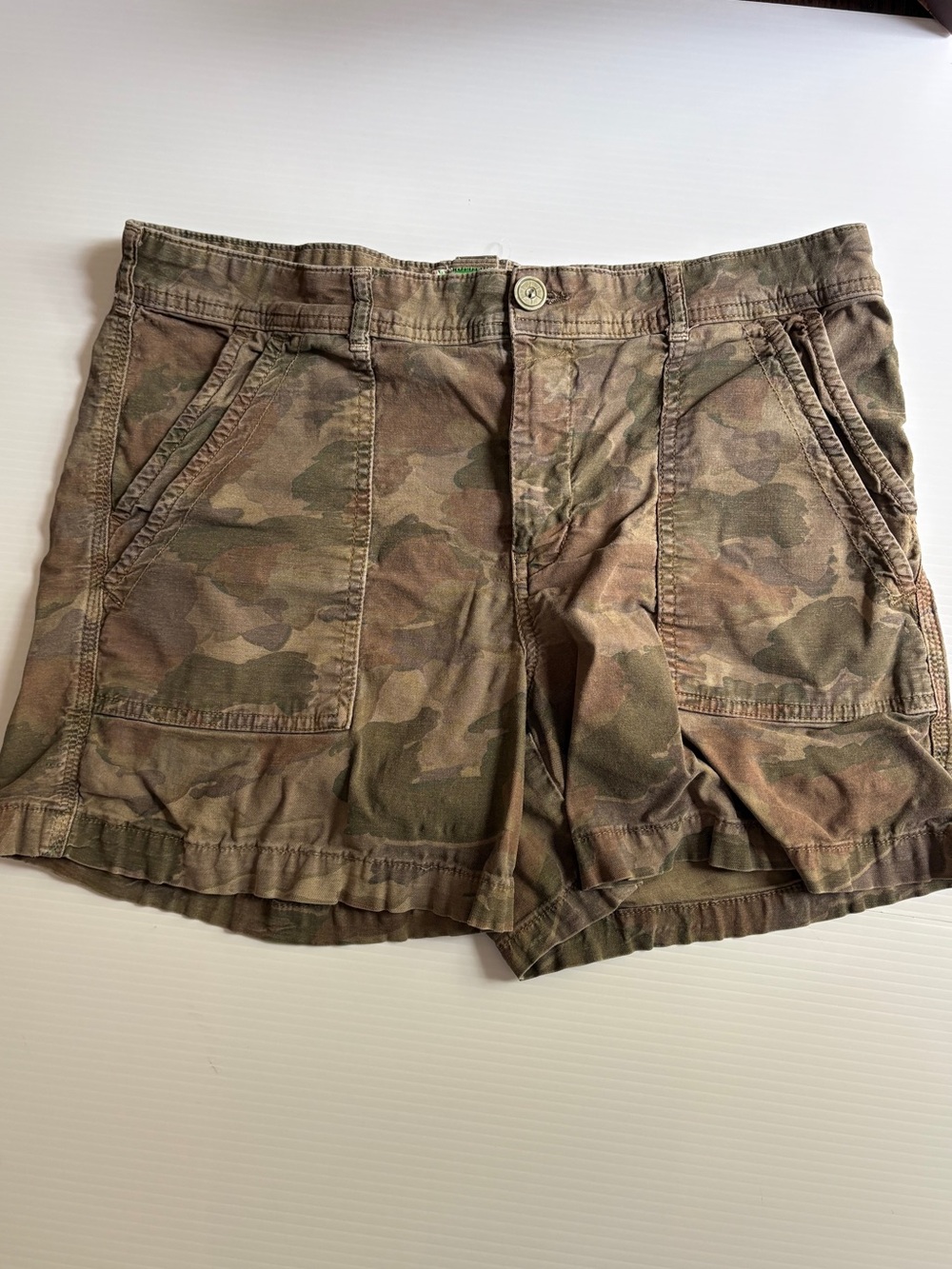 Anthropologie Wanderer Shorts Size 31